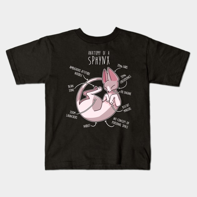 Sphynx Cat Anatomy Kids T-Shirt by Psitta